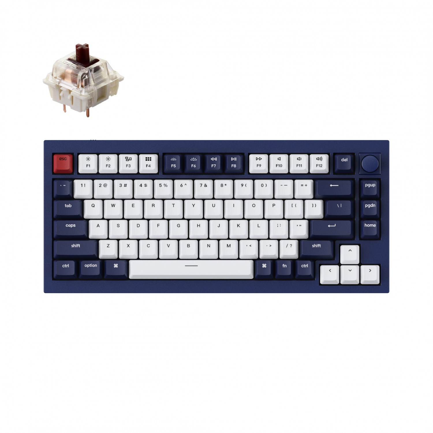 Keychron Q1 QMK Gateron G-PRO Switch Mechanical RGB Keyboard, Knob, Brown Switch and Costom Hot-swappable, Compatible with Mac & Windows - Navy Blue