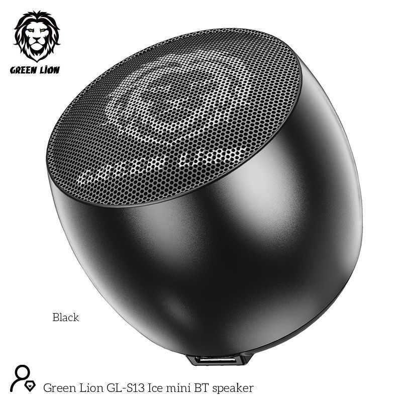 Green Lion Mini Pro Speaker - Black